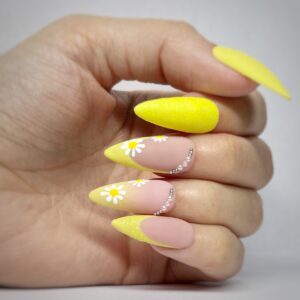 Daisy