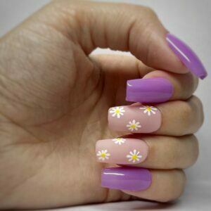 Daisy Purple